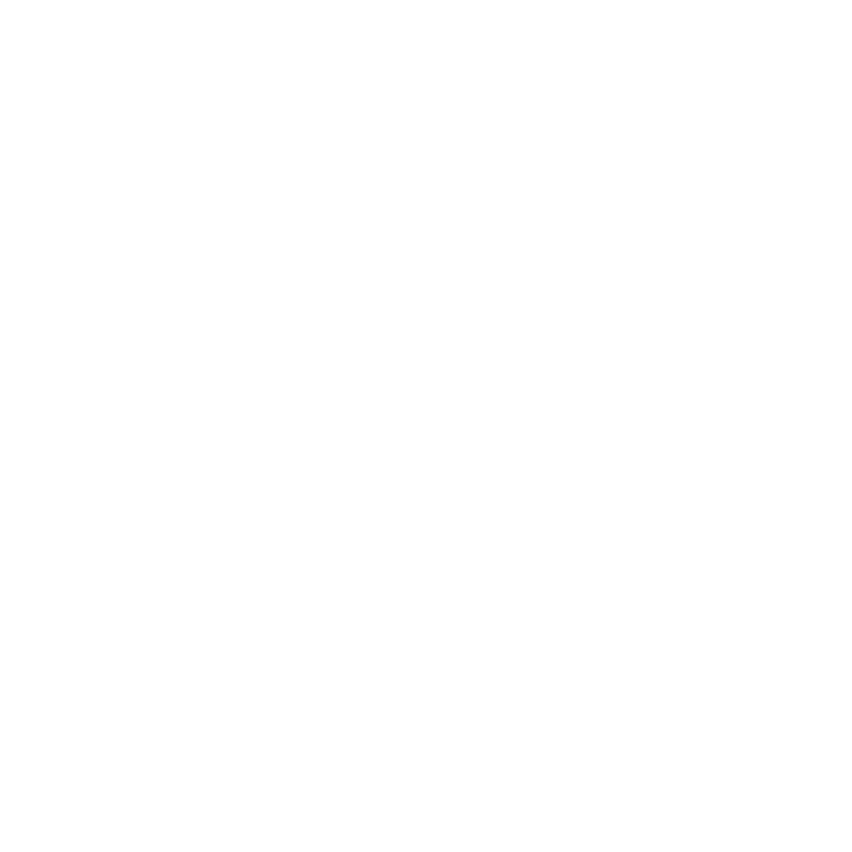 Pascal Kraupner Logo