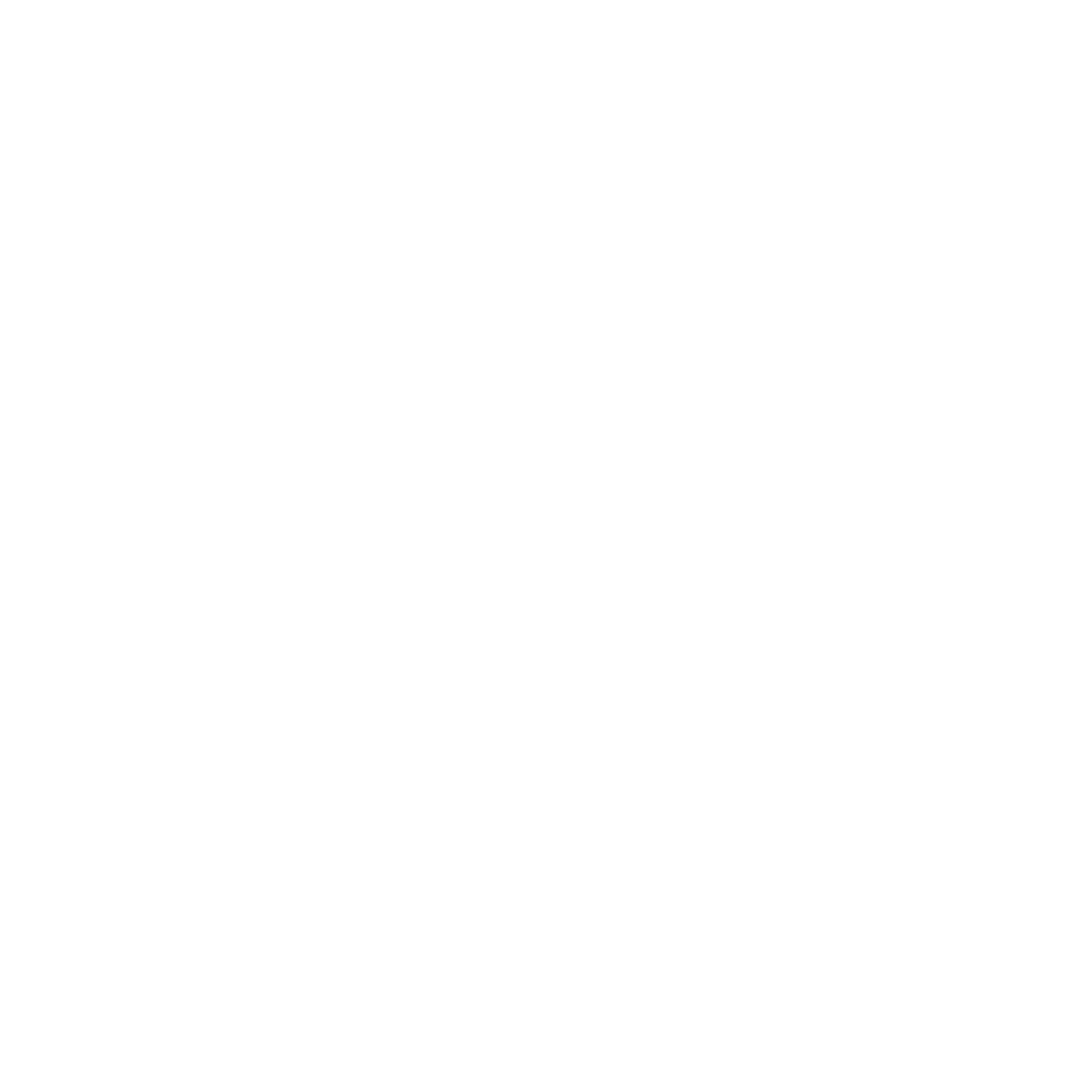 Pascal Kraupner Logo